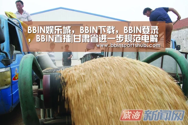 BBIN娱乐城，BBIN下载，BBIN登录，BBIN直播